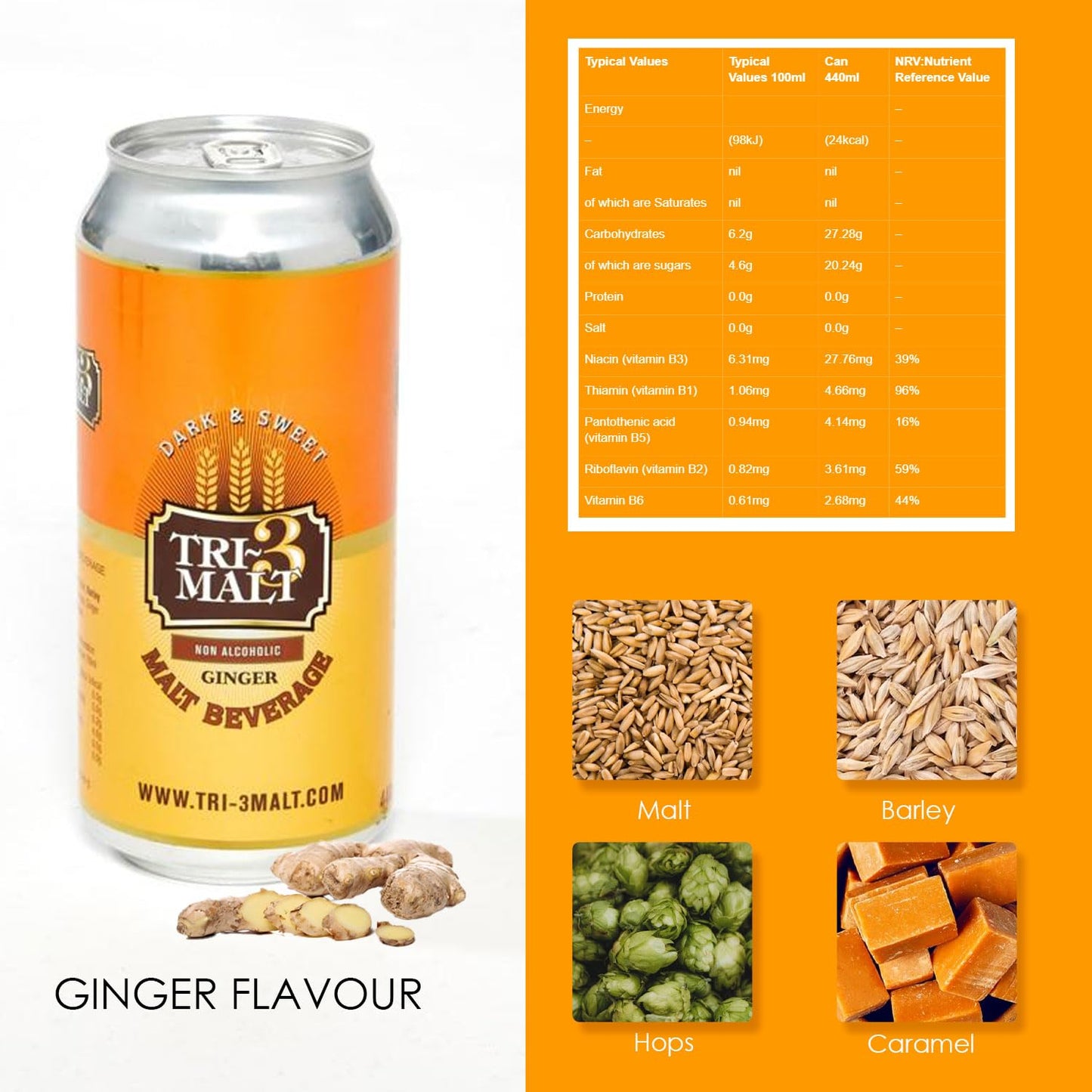 TRI-3 Malt Drink Ginger - Pack 12 Cans